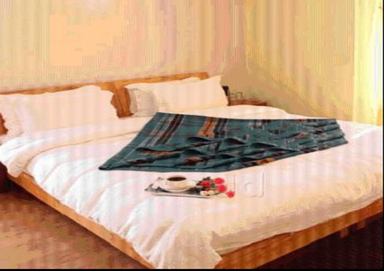 Hotel Om Ladakh Лех Екстер'єр фото